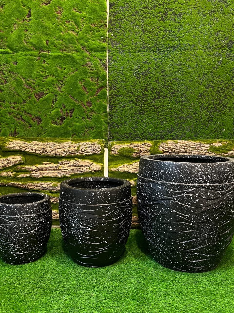 Orion Curve 3 PC Set