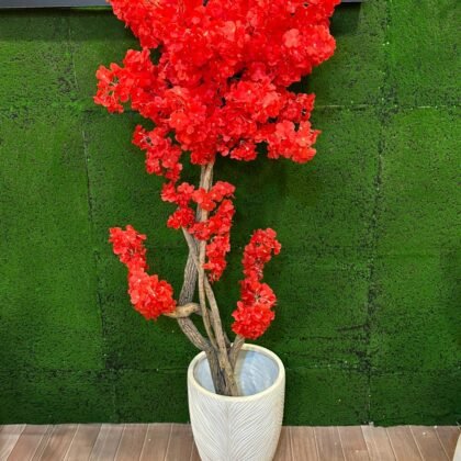 cherry blossom