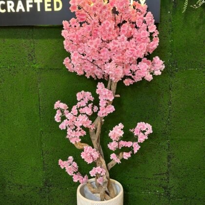 cherry blossom